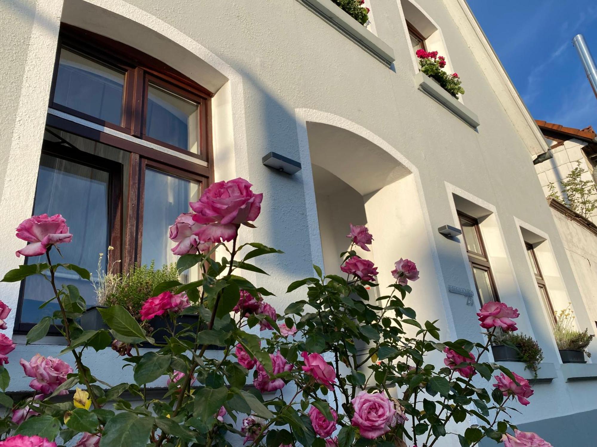 Reisekultouren Apartments Детмольд Экстерьер фото