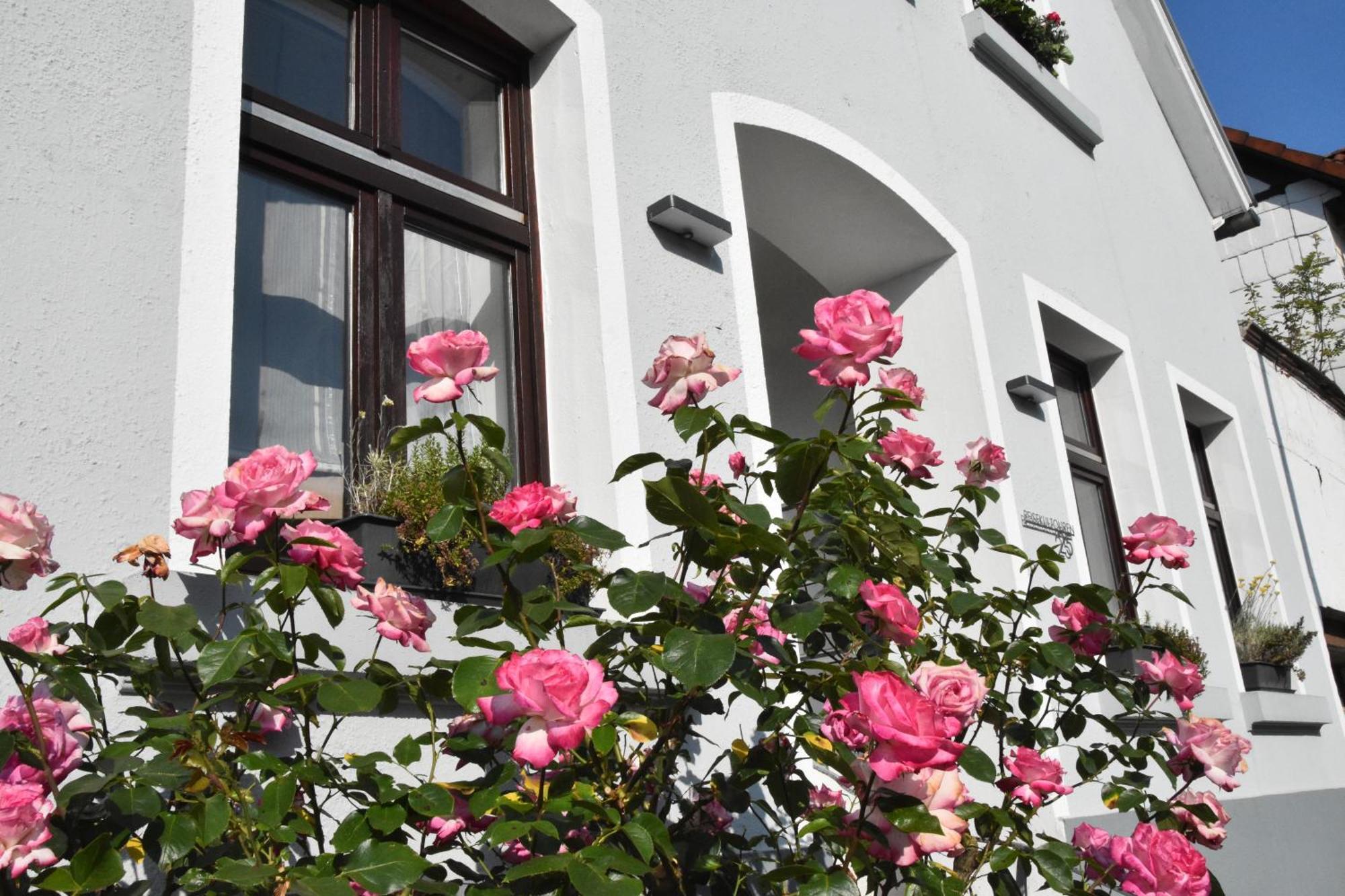 Reisekultouren Apartments Детмольд Экстерьер фото